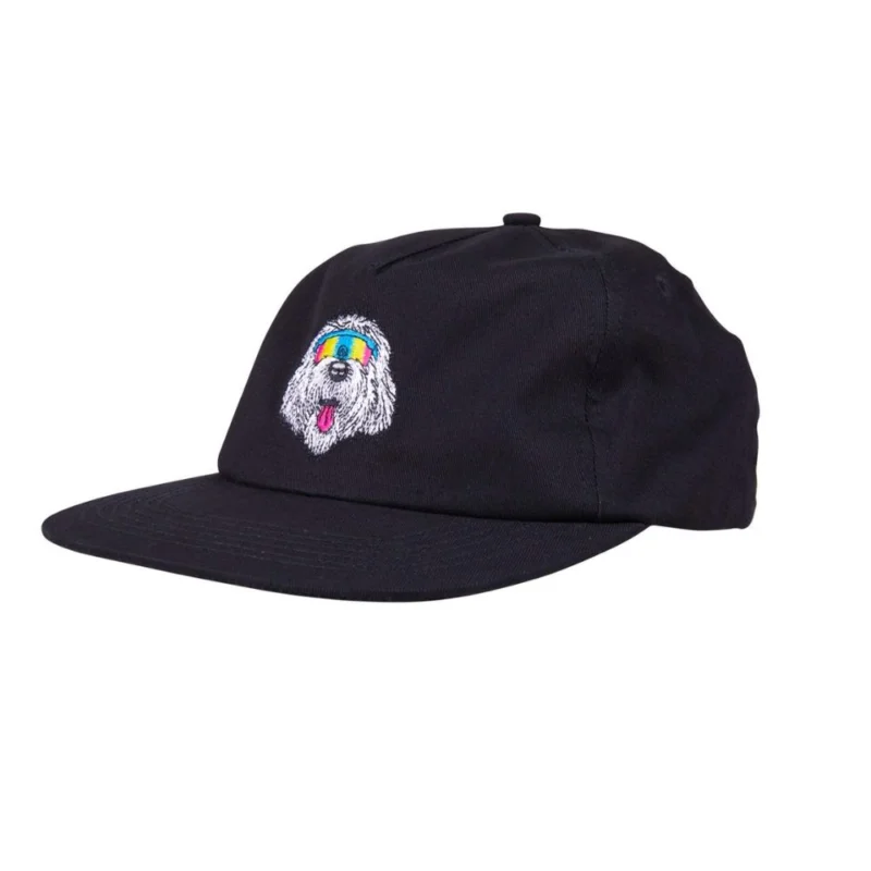 CASQUETTE SANTA CRUZ MCCOY DONUT DOG Commande En Gros