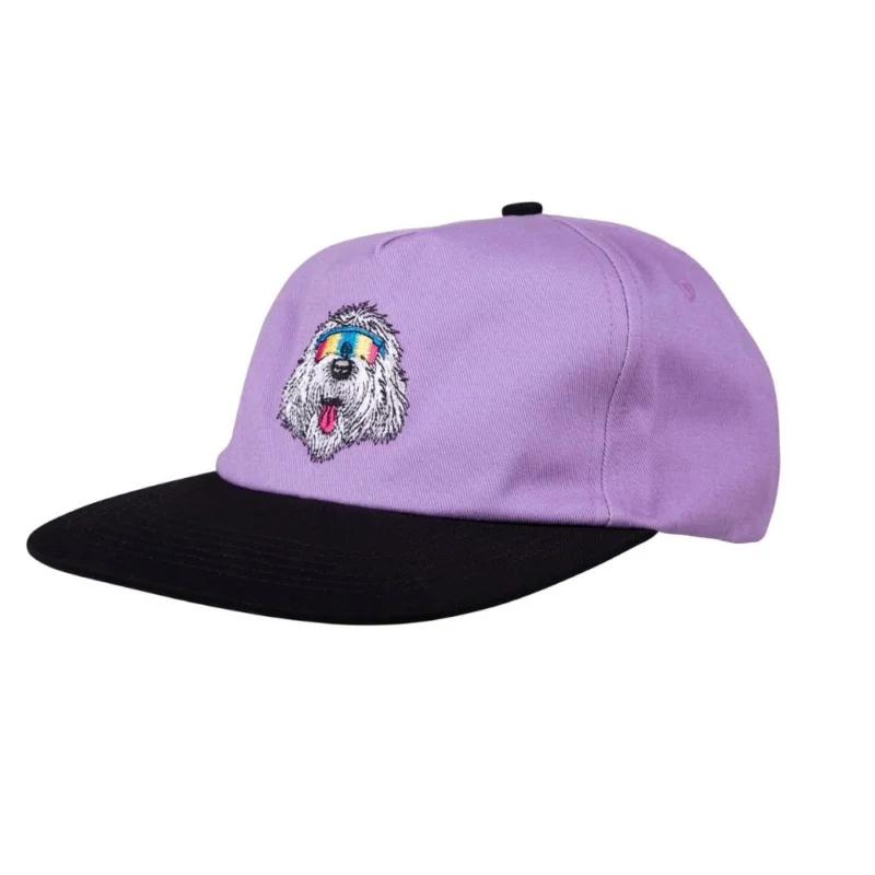 Retour Gratuit CASQUETTE SANTA CRUZ MCCOY DONUT DOG