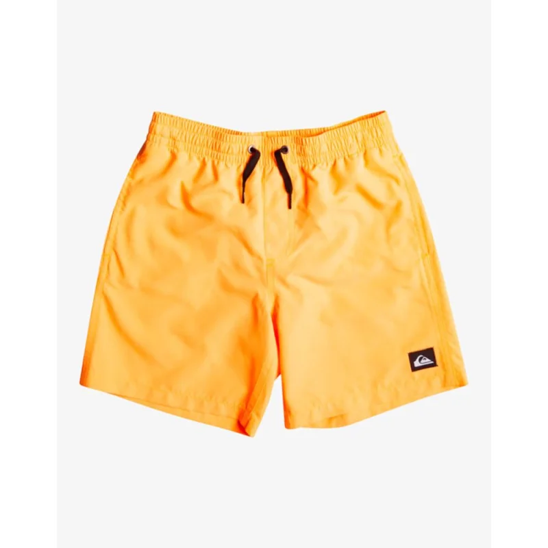 BOARDSHORT QUIKSILVER EVERYDAY VOLLEY 13 Expédié Aujourd'hui