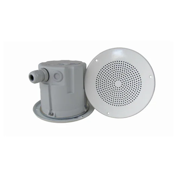 Meilleur Choix DNH Speaker BF-560T 70/100V built-in ceiling speaker white