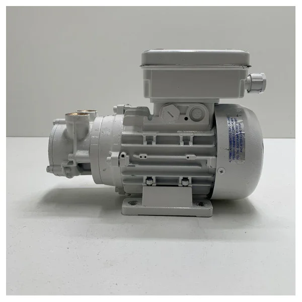 Commande En Gros Gianneschi ACB 61 g self -sucking Bronze Liquid pump 230V