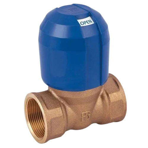Guidi 2 Inch Non Stick Valve Bronze - 2260 200009 Haute Qualité