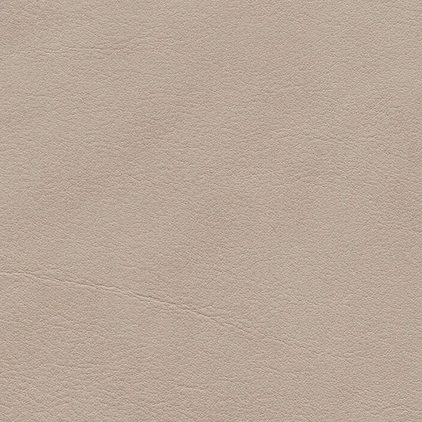 Guidi Mario Parma 1169 Birke Upholstery 30 M Dernier Modèle