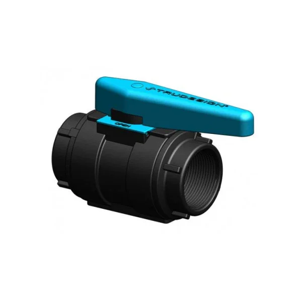 Trudesign 1-BSP 1 inch black plastic ball valve Meilleur Prix