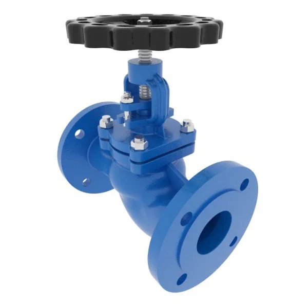 High-Quality DN50 PN16 Marine Iron Gate Valve with Corrosion-Resistant Coating and Handwheel Operation Affaire À Saisir