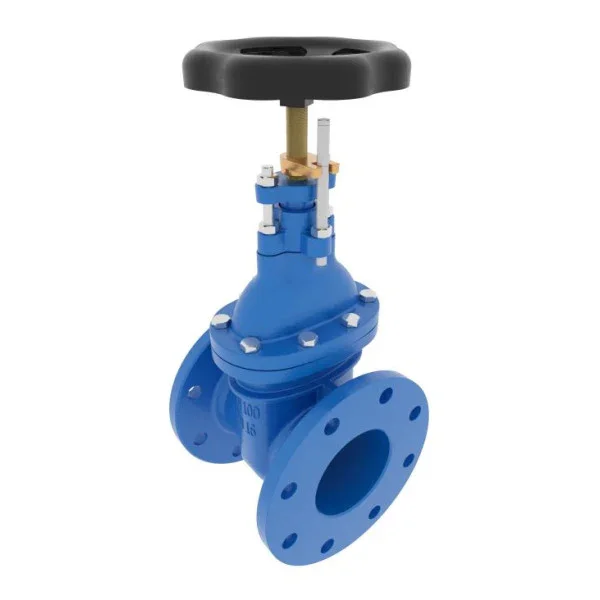 Promotion High-Quality DN50 PN16 Marine Globe Valve - Durable Cast Iron Shut-Off Valve for Ship and Offshore Use