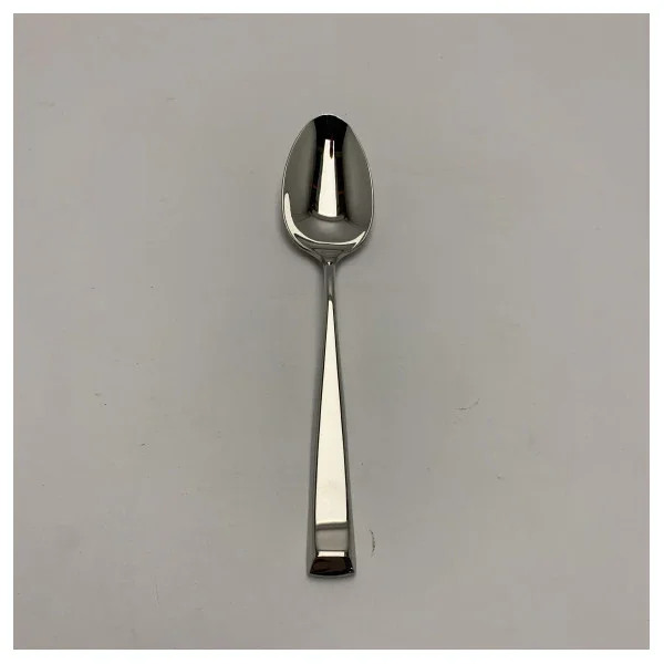 Dernier Modèle Riva Richard Ginori Stainless Steel Marine Table Spoon - Corrosion Resistant, Durable, and Comfortable Grip for Seaworthy Use