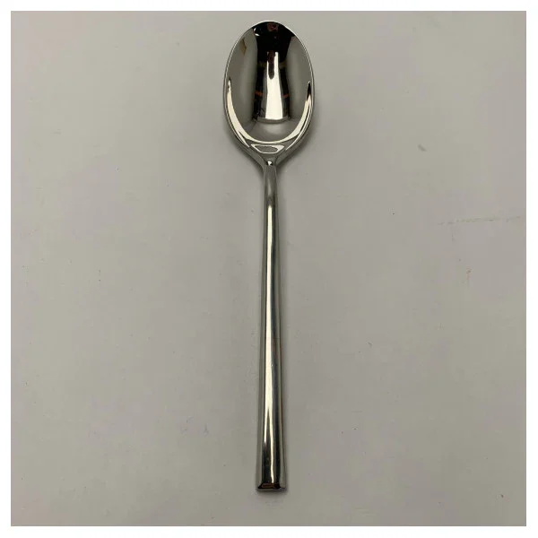 Calderoni Allure Stainless Steel Marine Table Spoon - Durable and Corrosion-Resistant Cutlery for Ships Meilleur Prix