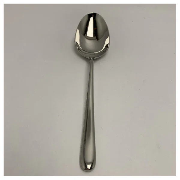 Top Vente Premium 18/10 Stainless Steel Marine Serving Spoon - Durable, Corrosion-Resistant, Easy to Clean