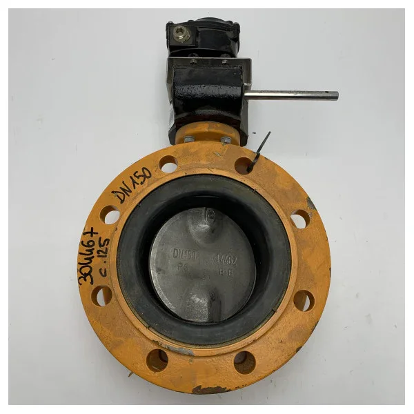 Offre Du Jour High-Quality Cast Iron Marine Butterfly Valve DN150 with Positioning Switch and Pro-Gear Actuator