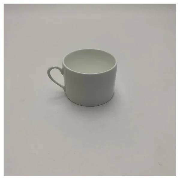 Richard Ginori Antinea Marine Bone China Tea Cup and Saucer Seulement Aujourd'hui