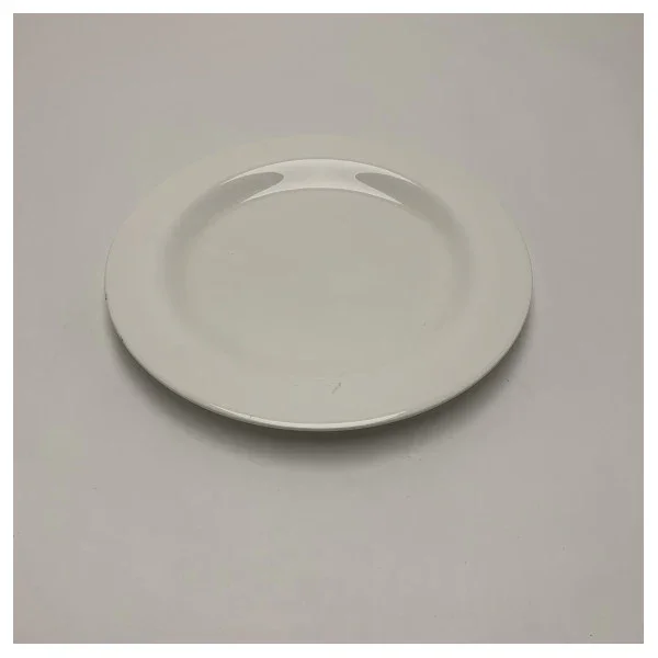 Richard Ginori Round Flat Antares 28 cm Bone China Plate Vente Flash