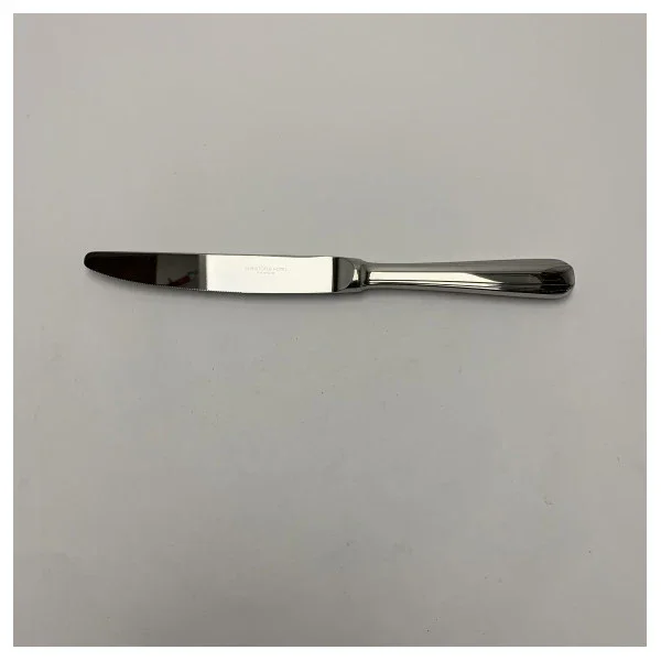 Nouvelle Collection Christofle High-Quality Stainless Steel Madison Table Knife Set 24 87 012