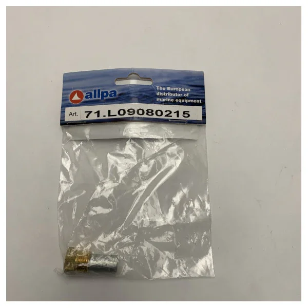 Allpa 71.L09080215 Durable Corrosion-Resistant anode for Lombardini engine Paguro generator set Haute Qualité
