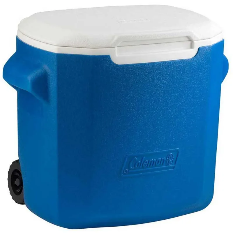 Coleman Glacière portable rigide Performance 26L Acheter En Ligne