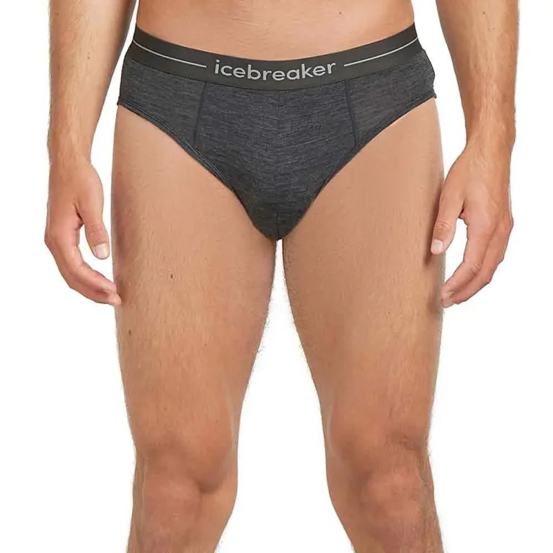 Réduction Icebreaker Slips Merino 150 Anatomica