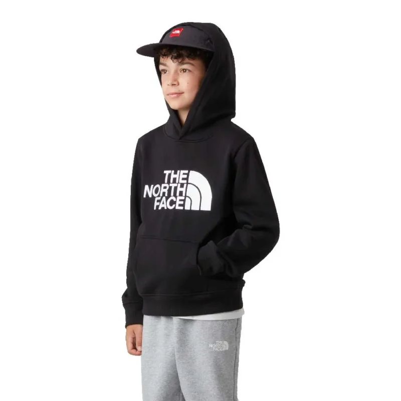 Populaire The North Face Sweat à capuche Drew Peak