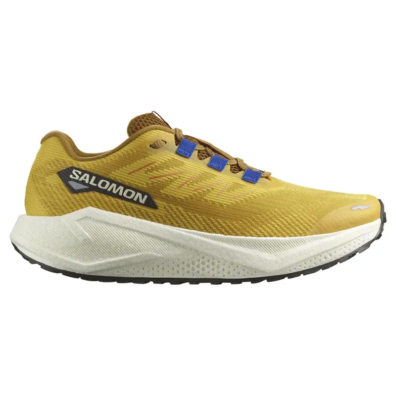 Salomon Chaussures de running Aero Blaze 3 GRVL Acheter En Ligne