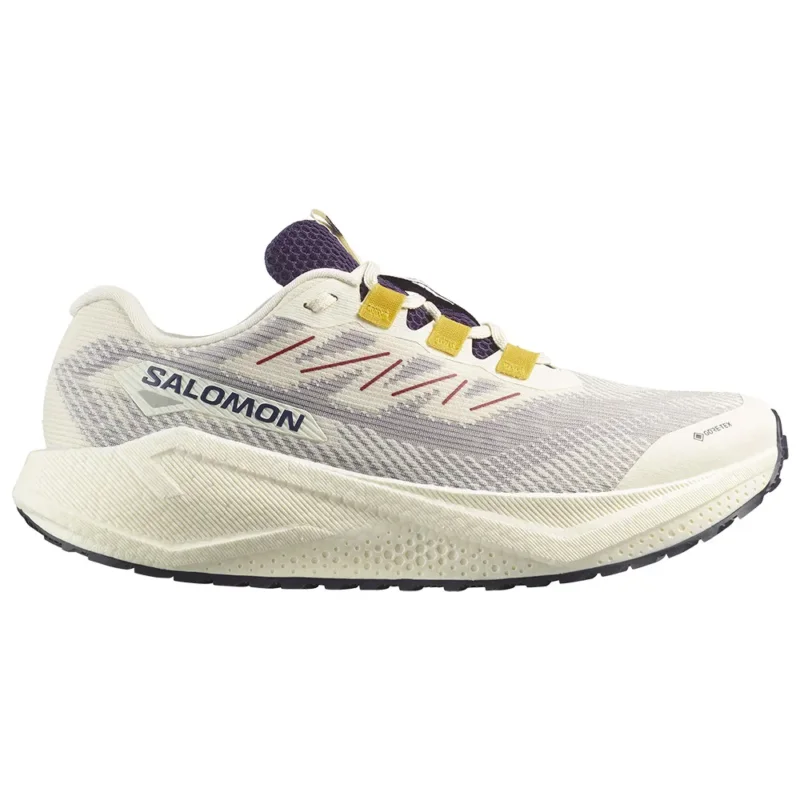 Jusqu'à Épuisement Des Stocks Salomon Chaussures de running Aero Blaze 3 GRVL GORE-TEX®