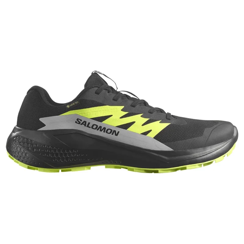 Remise Salomon Chaussures de trail running Alphaglide GORE-TEX®