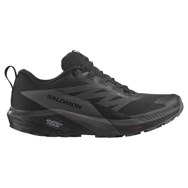 Achetez Aujourd'hui Salomon Chaussures de trail running Sense Ride 5 GORE-TEX®