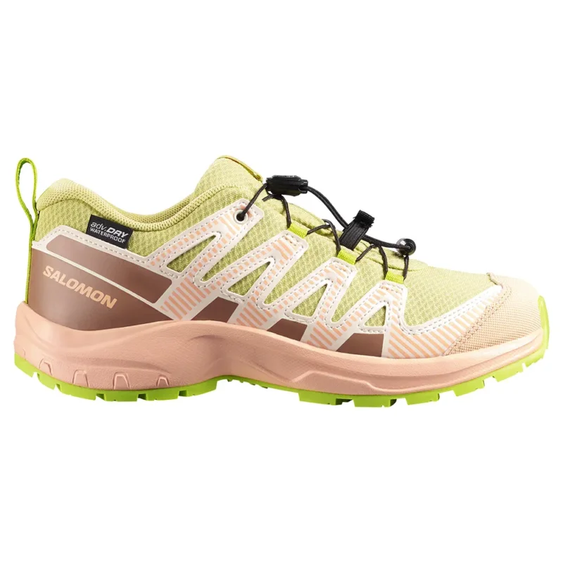 Salomon Chaussures de trail running XA Pro V8 WP Commander Vite