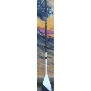 Offre Exclusive FANATIC PAGAIE CARBON PRO 100 VARIO OCCASION