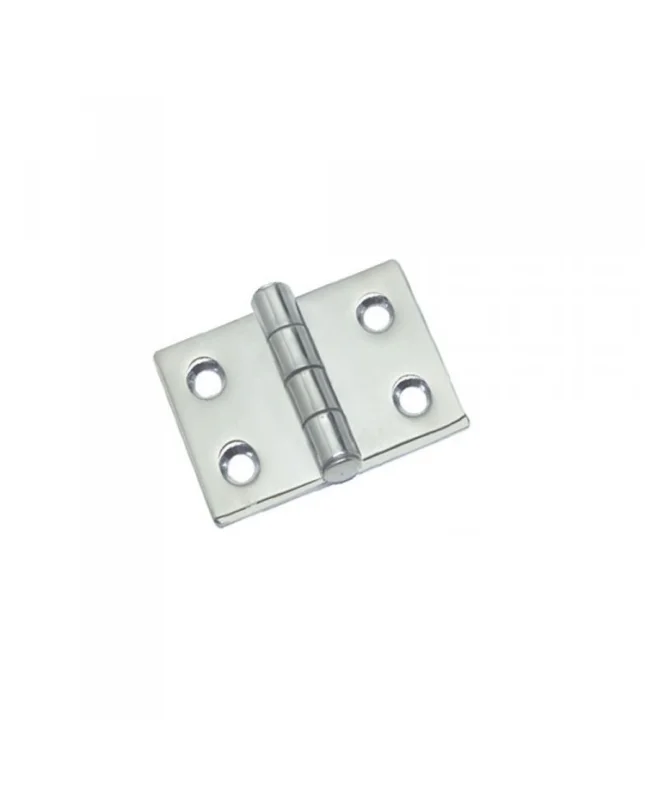 Charnière saillante 5mm AISI316 50x50 mm Meilleur Choix